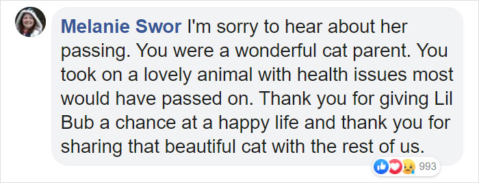 The Owner Of An Internet-Famous Cat Lil Bub Shares A Heartwarming Message To Announce Her Death The Owner Of An Internet-Famous Cat Lil Bub Shares A Heartwarming Message To Announce Her Death