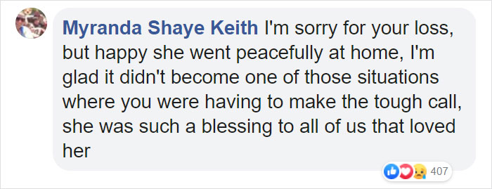 The Owner Of An Internet-Famous Cat Lil Bub Shares A Heartwarming Message To Announce Her Death