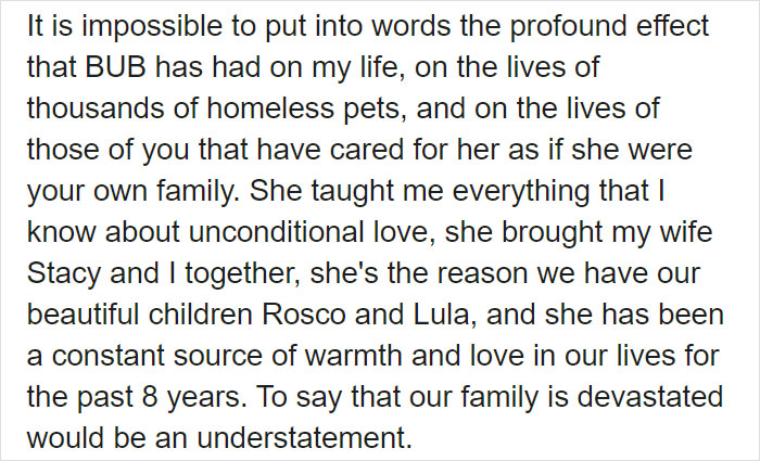 The Owner Of An Internet-Famous Cat Lil Bub Shares A Heartwarming Message To Announce Her Death