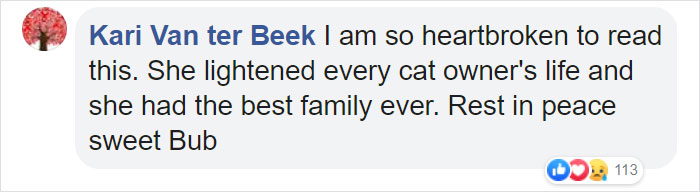 The Owner Of An Internet-Famous Cat Lil Bub Shares A Heartwarming Message To Announce Her Death