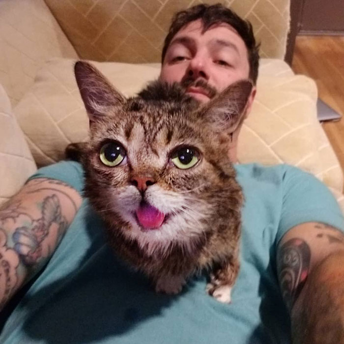 The Owner Of An Internet-Famous Cat Lil Bub Shares A Heartwarming Message To Announce Her Death The Owner Of An Internet-Famous Cat Lil Bub Shares A Heartwarming Message To Announce Her Death