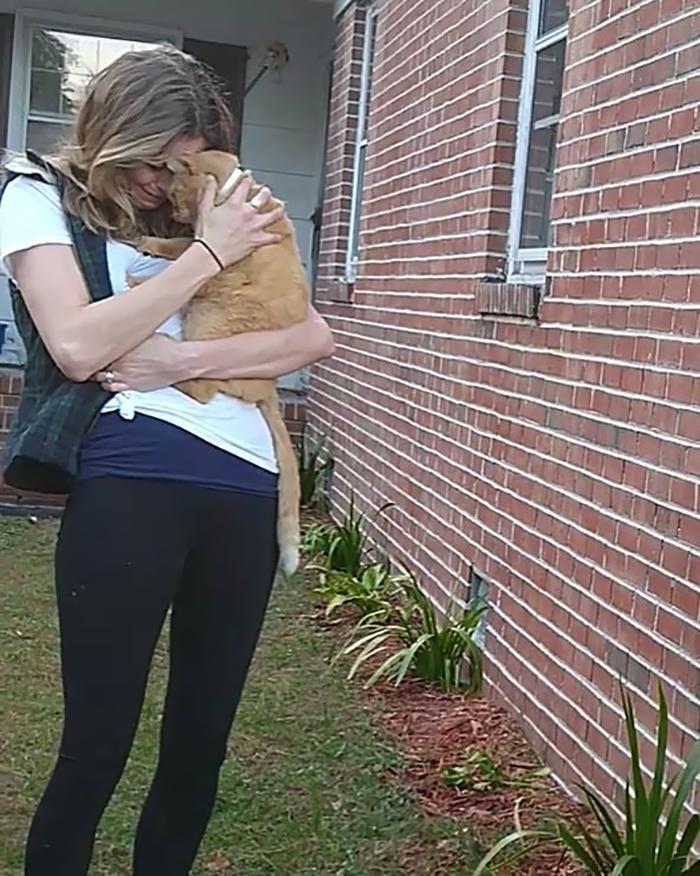 Cat Jumps Straight Into His Owner's Arms After Being Lost For 536 Days Cat Jumps Straight Into His Owner's Arms After Being Lost For 536 Days