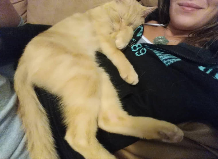 Cat Jumps Straight Into His Owner's Arms After Being Lost For 536 Days Cat Jumps Straight Into His Owner's Arms After Being Lost For 536 Days