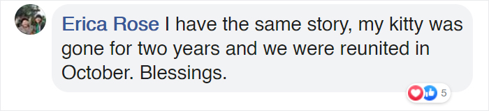 Cat Jumps Straight Into His Owner's Arms After Being Lost For 536 Days Cat Jumps Straight Into His Owner's Arms After Being Lost For 536 Days