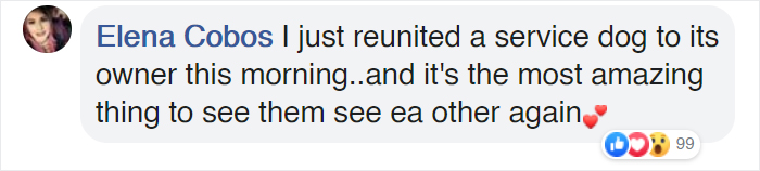 Cat Jumps Straight Into His Owner's Arms After Being Lost For 536 Days Cat Jumps Straight Into His Owner's Arms After Being Lost For 536 Days
