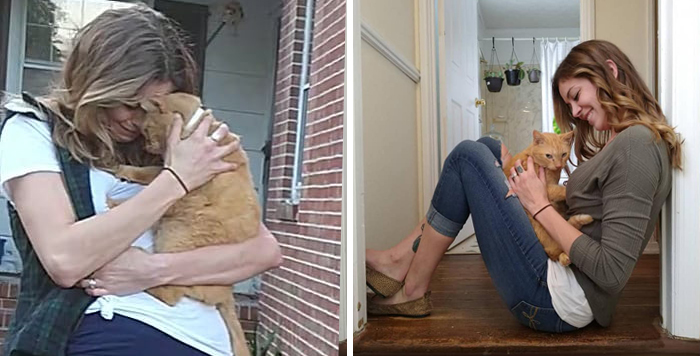 Cat Jumps Straight Into His Owner’s Arms After Being Lost For 536 Days