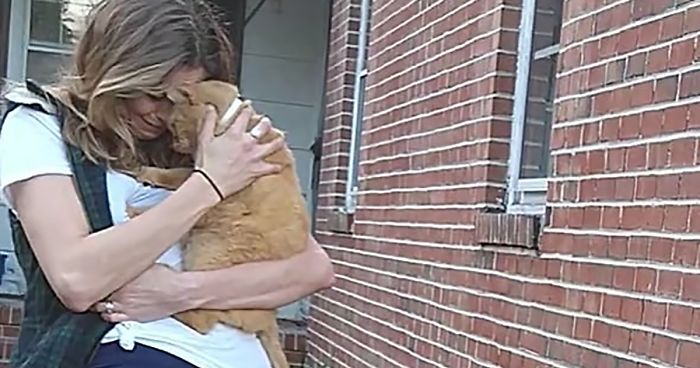 This Cat Jumped Into His Owner's Arms After Going Missing For 536 DaysThis Cat Jumped Into His Owner's Arms After Going Missing For 536 Days