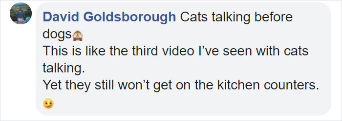 Cat Says "Well, Hi" In A Southern Accent And People Keep Watching It Over And Over Again Cat Says "Well, Hi" In A Southern Accent And People Keep Watching It Over And Over Again