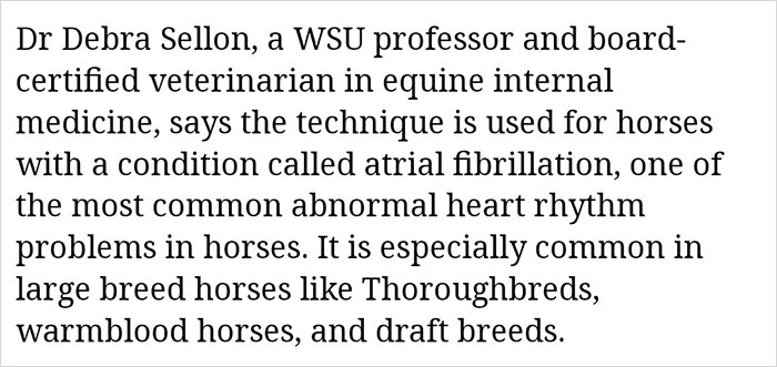 Doctor Tries Answering What He'd Do If A Centaur Had A Heart Attack In A Hilariously Serious Twitter Thread