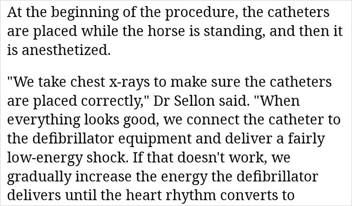 Doctor Tries Answering What He'd Do If A Centaur Had A Heart Attack In A Hilariously Serious Twitter Thread