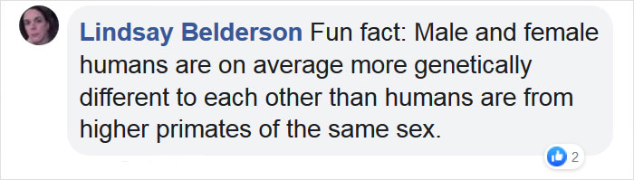 A Gorilla Born With A Lack Of Pigmentation On Her Fingers Surprises People