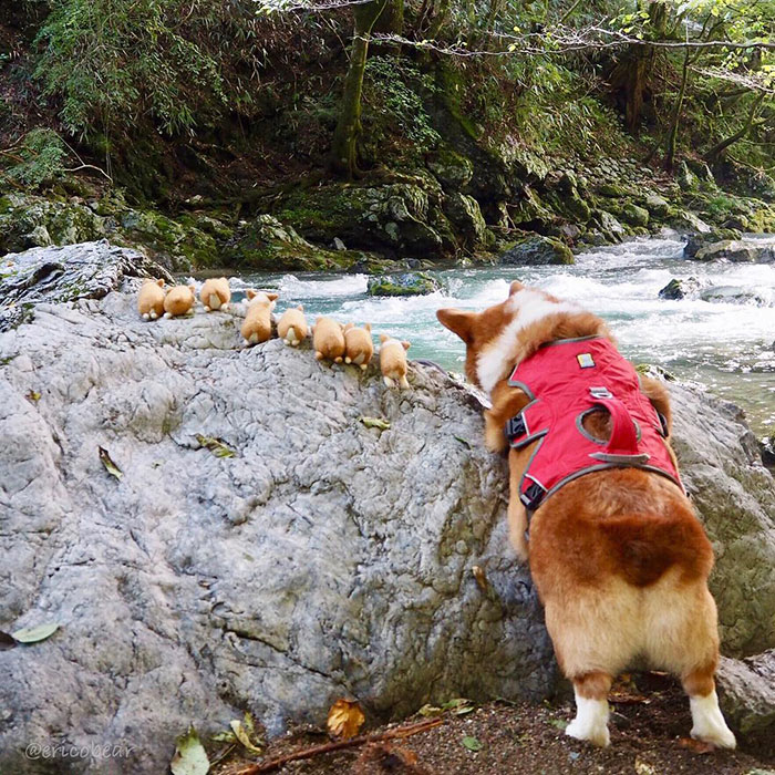 Corgi-Adventures-Ericobear