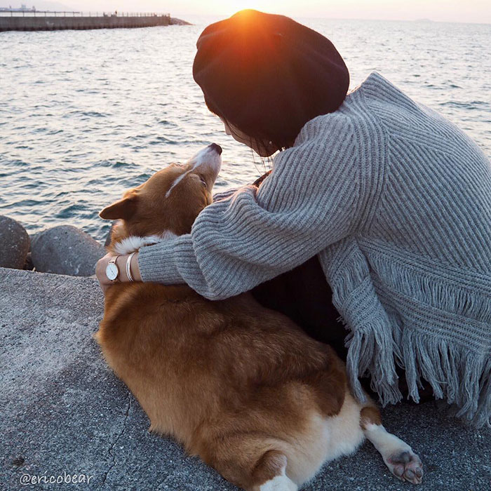 Corgi-Adventures-Ericobear