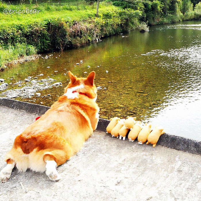 Corgi-Adventures-Ericobear