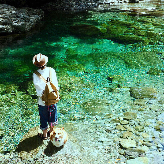 Corgi-Adventures-Ericobear