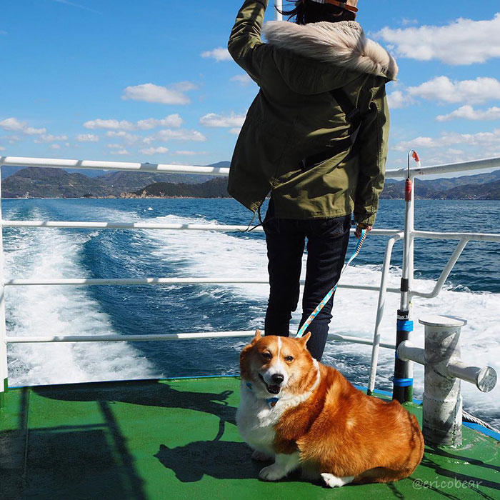 Corgi-Adventures-Ericobear