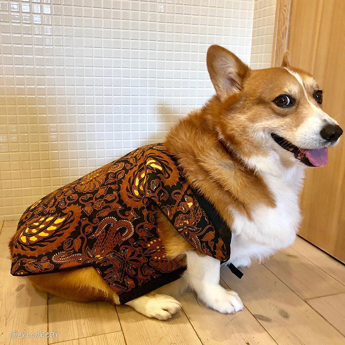 Corgi-Adventures-Ericobear