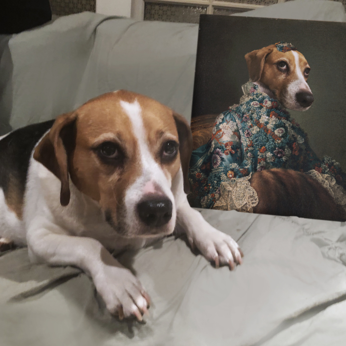 Everybody Is Getting Renaissance Portraits Of Their Pets