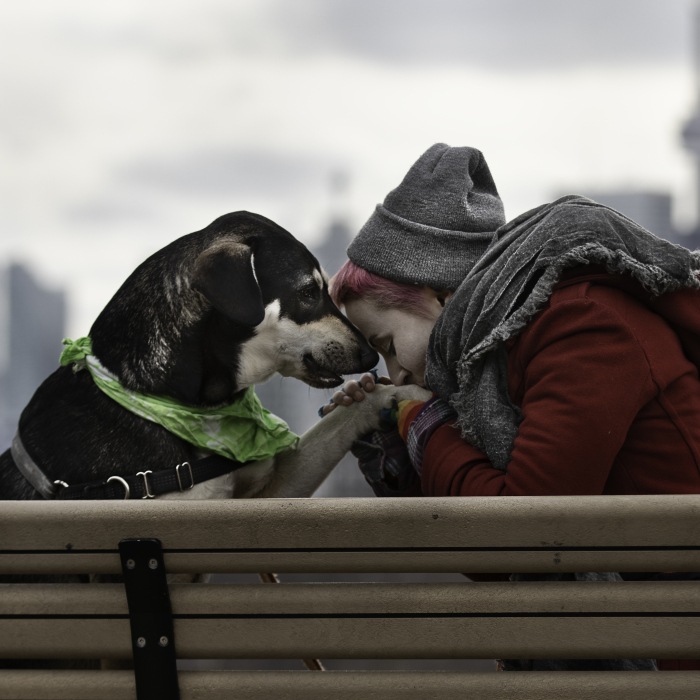 “Don’t You Want Me”: Photography, Rescue Dogs And Lgbtq