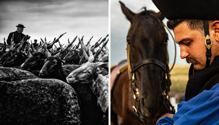 The Life Of The Traditional Shepherds Of Rural Hungary – Guardians Of The Past