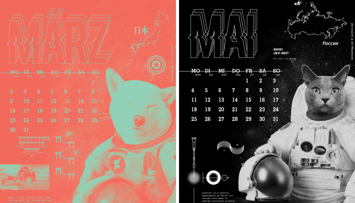 We Made This Fun 2020 Calendar With Our Pets As Astronauts