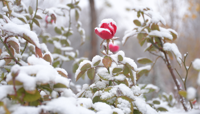 I Made My First Photoshoot In The Snow In Tashkent, Uzbekistan