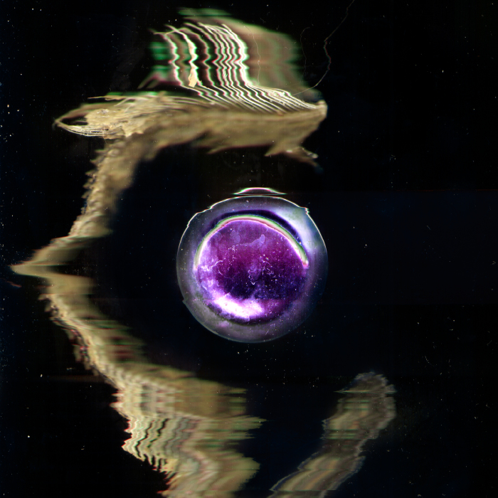 I Created A Fishy Magic Space Portal