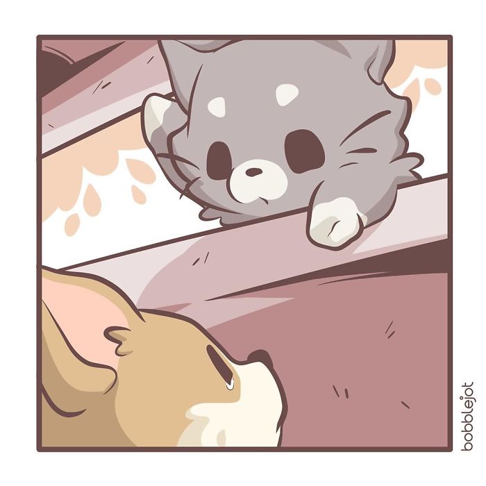 A Comic About An Unwanted Corgi And A Lonely Kitten Becoming Friends Is Warming People's Hearts A Comic About An Unwanted Corgi And A Lonely Kitten Becoming Friends Is Warming People's Hearts