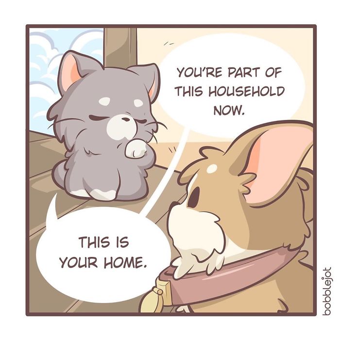 A Comic About An Unwanted Corgi And A Lonely Kitten Becoming Friends Is Warming People's Hearts A Comic About An Unwanted Corgi And A Lonely Kitten Becoming Friends Is Warming People's Hearts