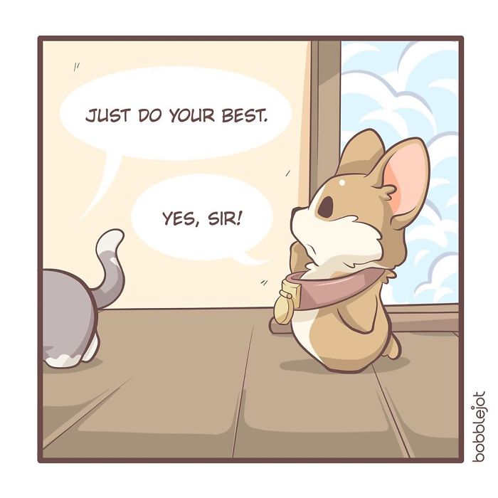 A Comic About An Unwanted Corgi And A Lonely Kitten Becoming Friends Is Warming People's Hearts