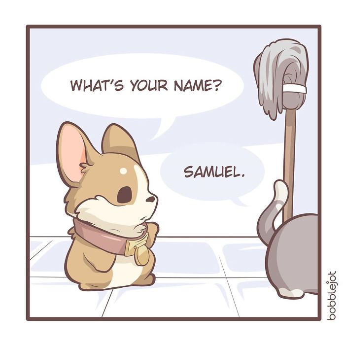 A Comic About An Unwanted Corgi And A Lonely Kitten Becoming Friends Is Warming People's Hearts A Comic About An Unwanted Corgi And A Lonely Kitten Becoming Friends Is Warming People's Hearts