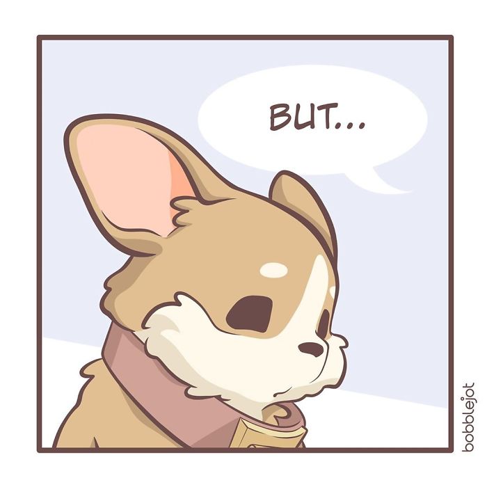 A Comic About An Unwanted Corgi And A Lonely Kitten Becoming Friends Is Warming People's Hearts A Comic About An Unwanted Corgi And A Lonely Kitten Becoming Friends Is Warming People's Hearts