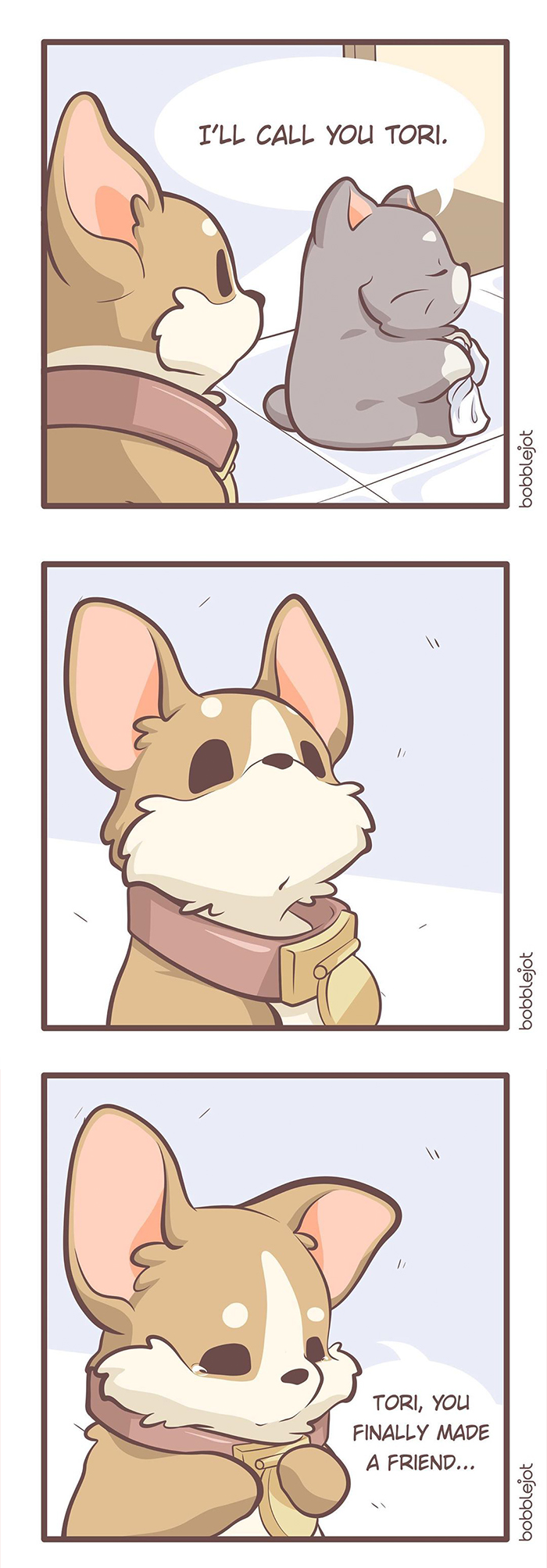 A Comic About An Unwanted Corgi And A Lonely Kitten Becoming Friends Is Warming People's Hearts