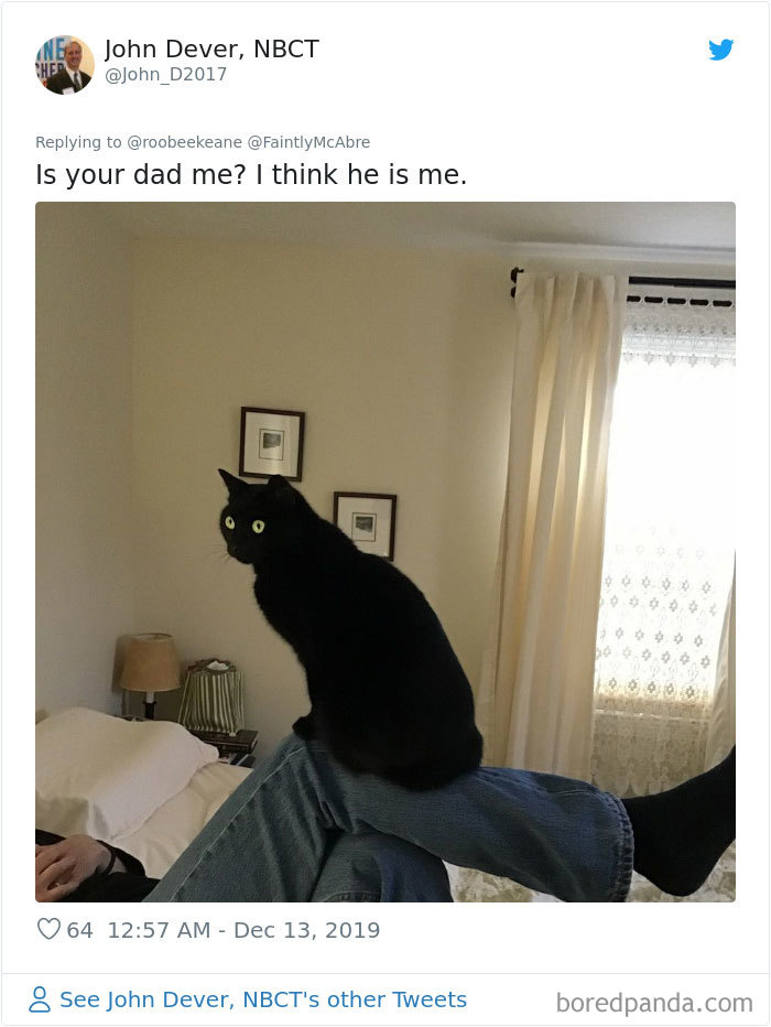 Parents-Didnt-Want-Cat-Now-Loves-Them