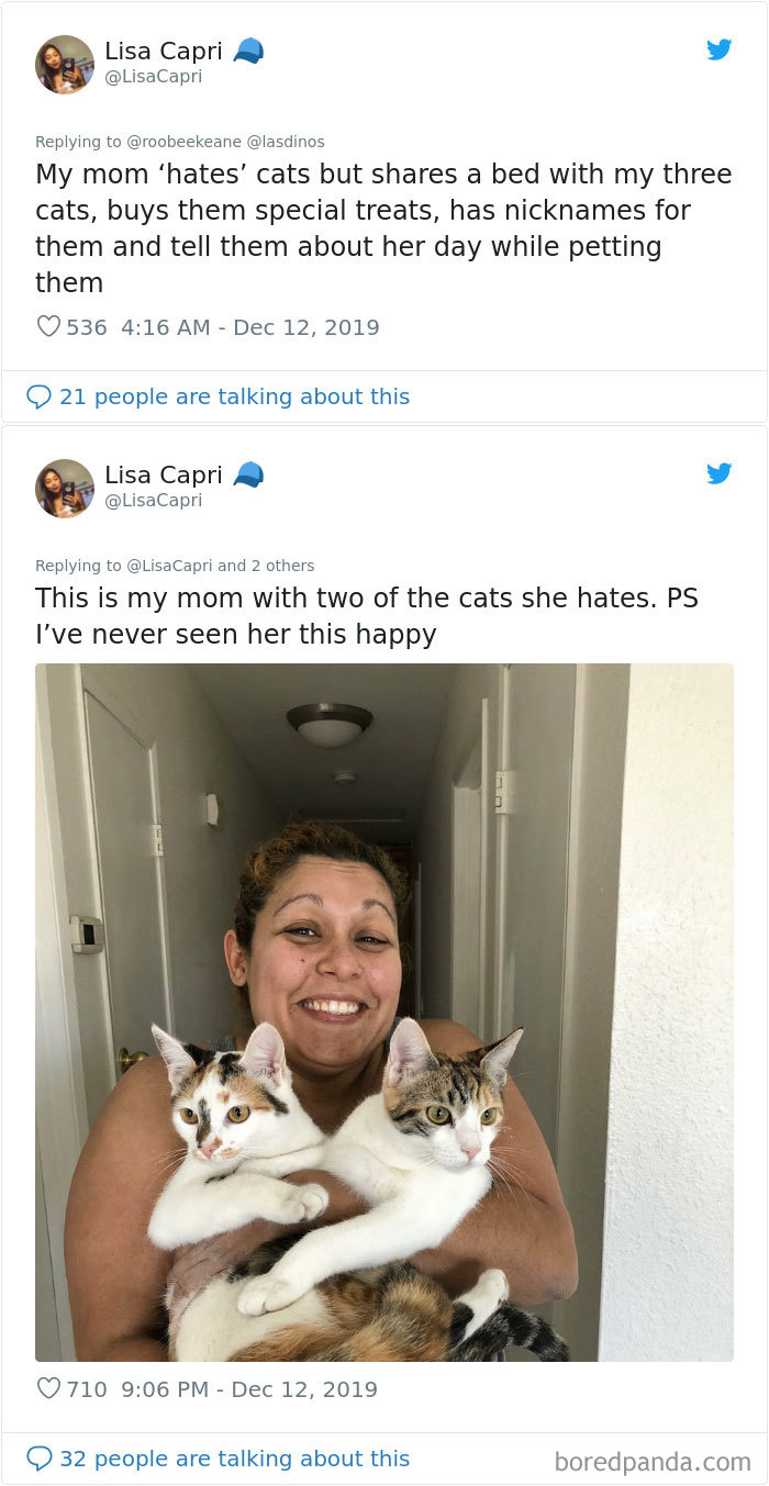 Parents-Didnt-Want-Cat-Now-Loves-Them