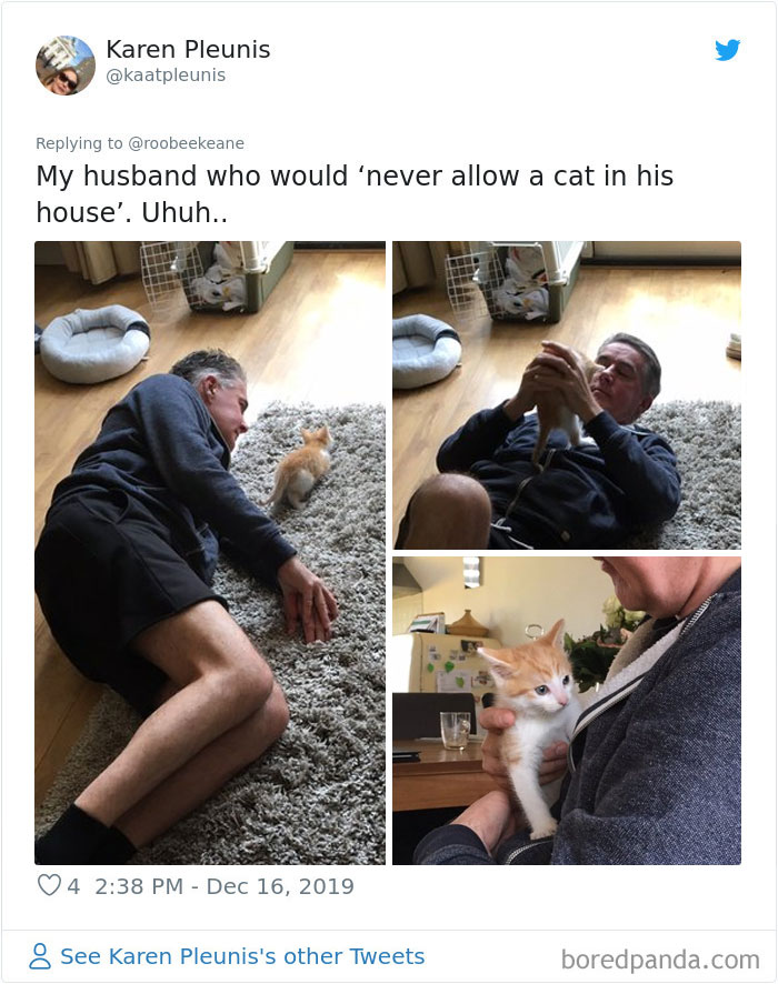 Parents-Didnt-Want-Cat-Now-Loves-Them