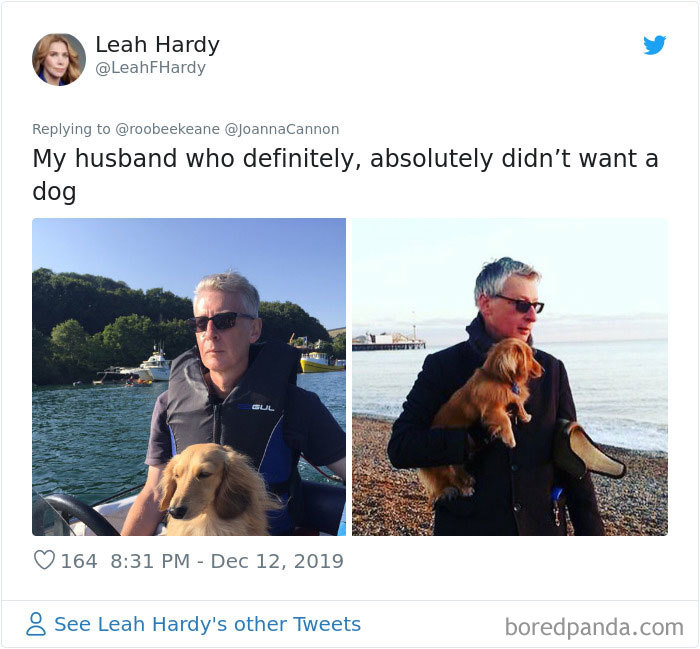 Parents-Didnt-Want-Cat-Now-Loves-Them