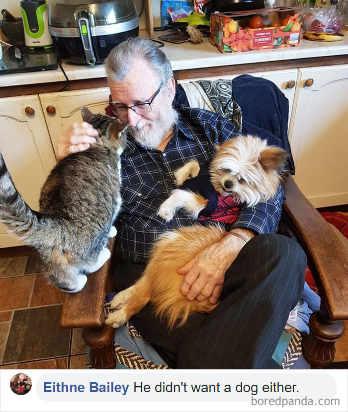 Parents-Didnt-Want-Cat-Now-Loves-Them