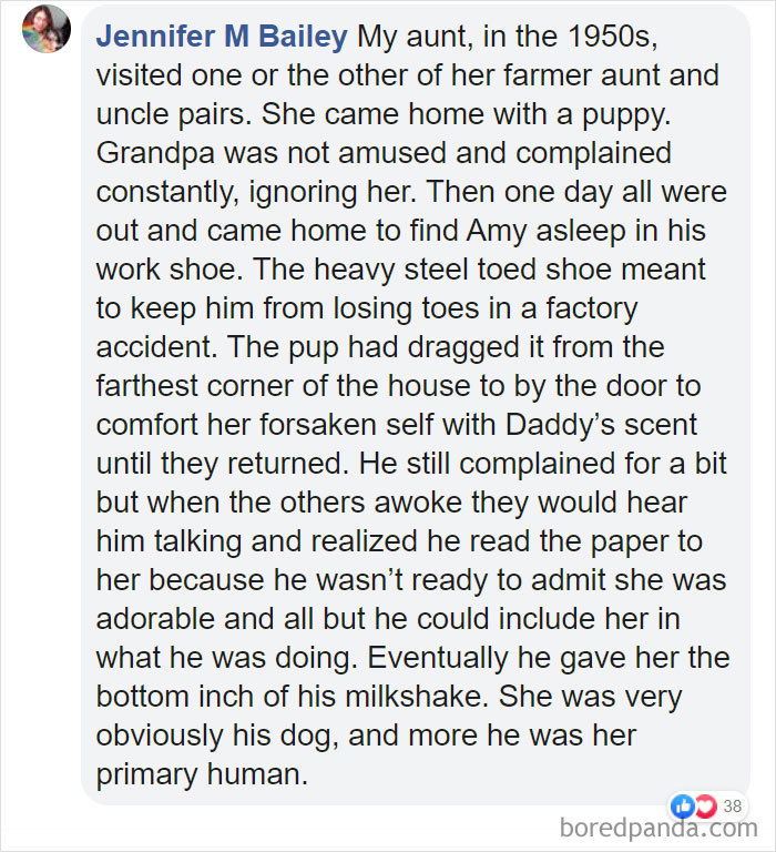 Parents-Didnt-Want-Cat-Now-Loves-Them