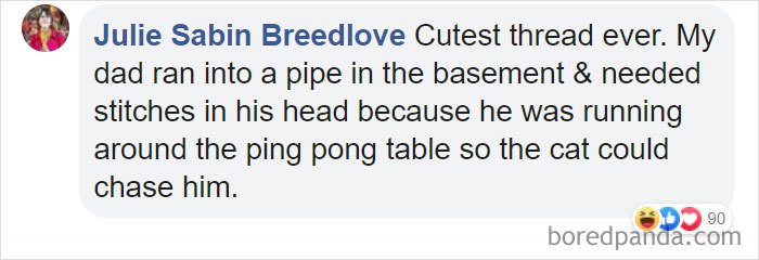 Parents-Didnt-Want-Cat-Now-Loves-Them