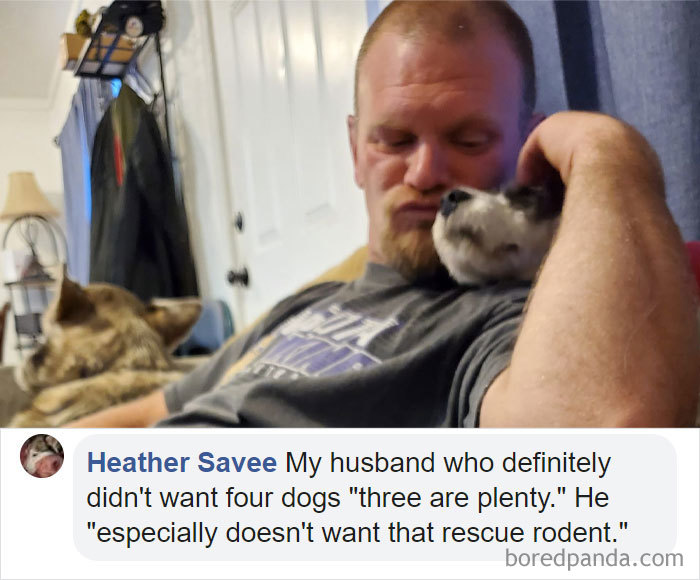 Parents-Didnt-Want-Cat-Now-Loves-Them