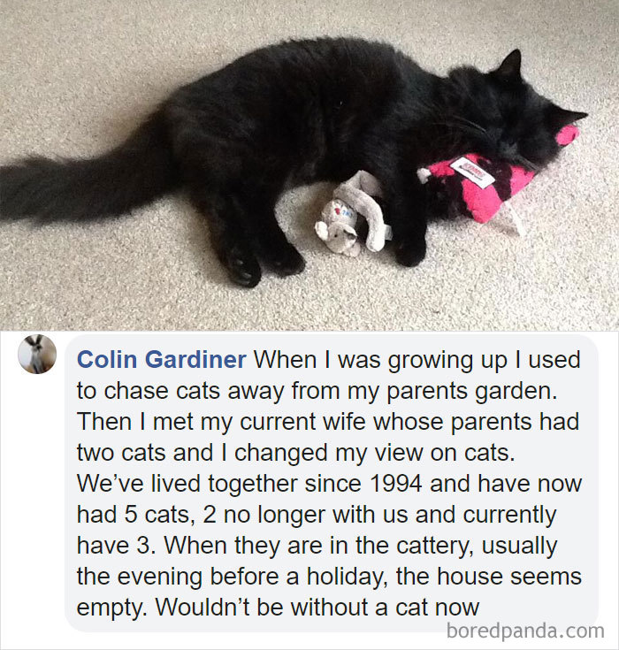 Parents-Didnt-Want-Cat-Now-Loves-Them