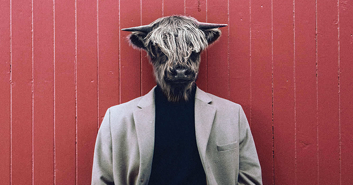 My Photo Editing Project “Anthropomorphism” That Humanizes Animals And Animalizes Humans (30 Pics)