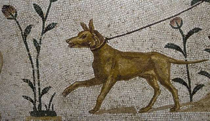 Ancient Greeks And Romans Mourned And Buried Their Dogs