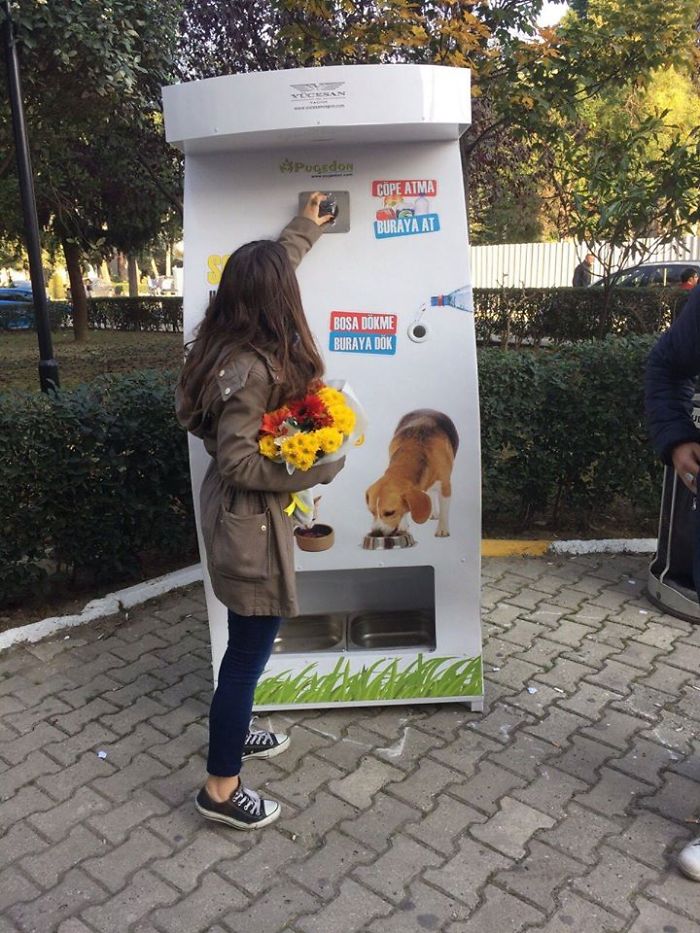 There Are Vending Machines For Dogs