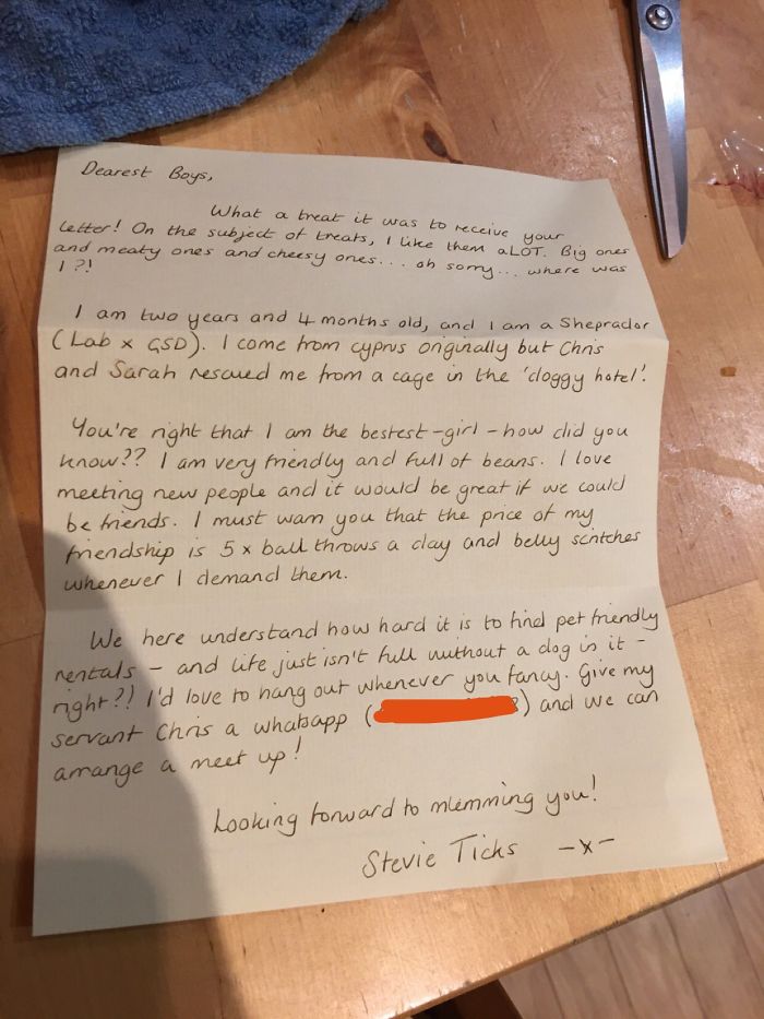 4 Guys Beg Their Neighbor To Let Them Play With Their Dog, Get A Wholesome Letter In Response 4 Guys Beg Their Neighbor To Let Them Play With Their Dog, Get A Wholesome Letter In Response