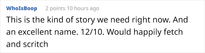 4 Guys Beg Their Neighbor To Let Them Play With Their Dog, Get A Wholesome Letter In Response