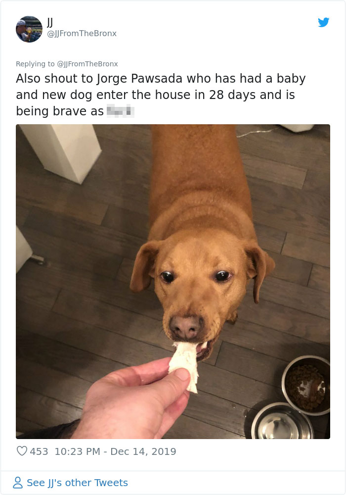 Guy Accidentally Leaves His Front Door Open, Gets 'Chosen' By A Stray Dog Who Walked In At Night Guy Accidentally Leaves His Front Door Open, Gets 'Chosen' By A Stray Dog Who Walked In At Night