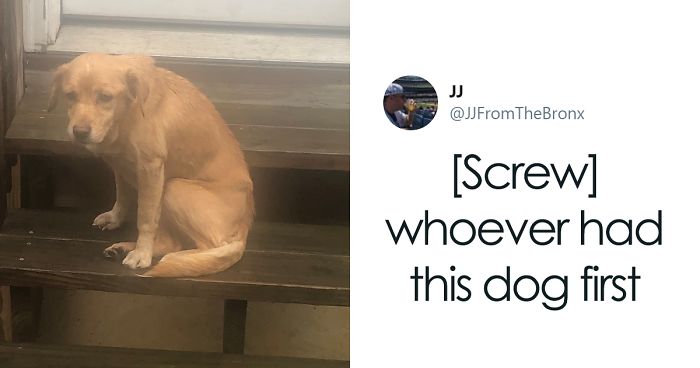 Guy Accidentally Leaves His Front Door Open, Gets ‘Chosen’ By A Stray Dog Who Walked In At Night