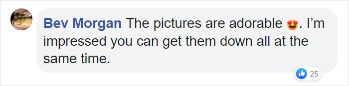 Photos Of Sleeping Pups In A Puppy Daycare Center Are Taking Over The Internet (24 Pics) Photos Of Sleeping Pups In A Puppy Daycare Center Are Taking Over The Internet (24 Pics)